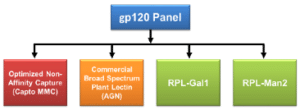 Streamline Purification of Glycosylated Proteins with Recombinant Prokaryotic Lectins — research figure 1